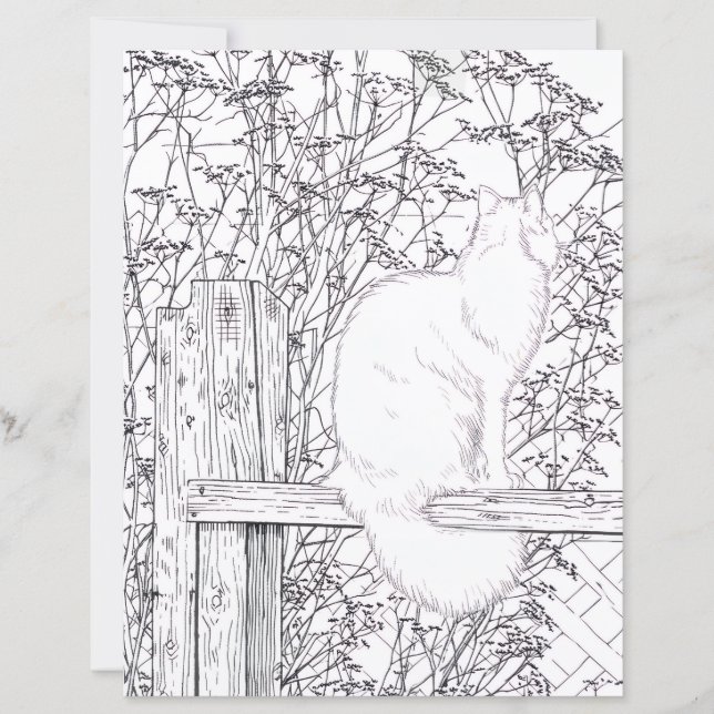 Coloring Page - Cat on Fence (Front)