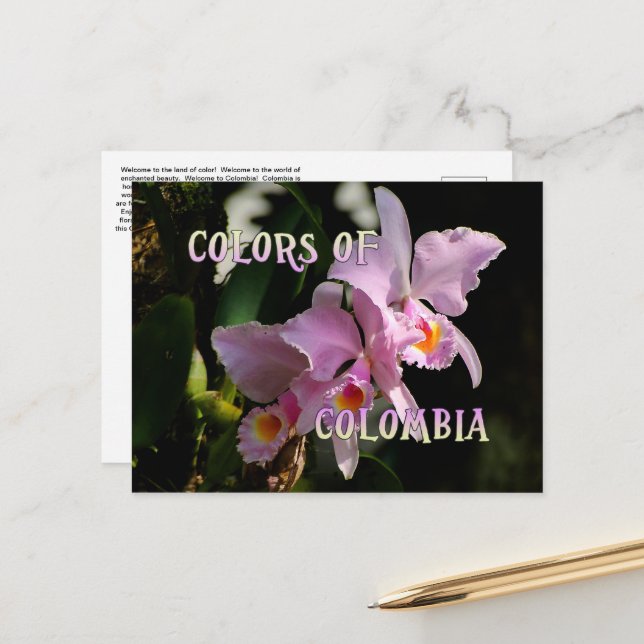Colors of Colombia Cattleya Orchid Postcard (Front/Back In Situ)