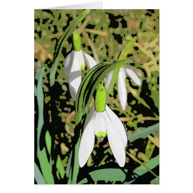 Colors of Spring (Front)