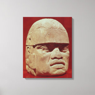 Colossal head, Olmec Canvas Print