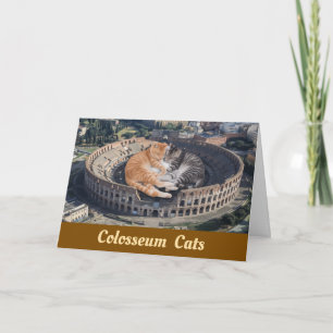 Colosseum Cats Card