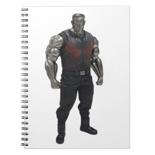 Colossus Notebook