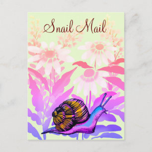 colouful snail mail postcard