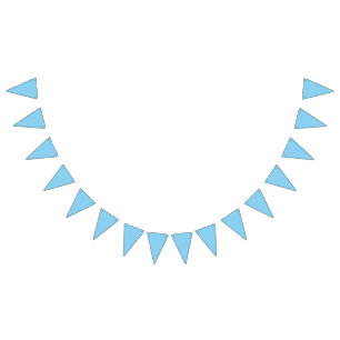 colour baby blue bunting