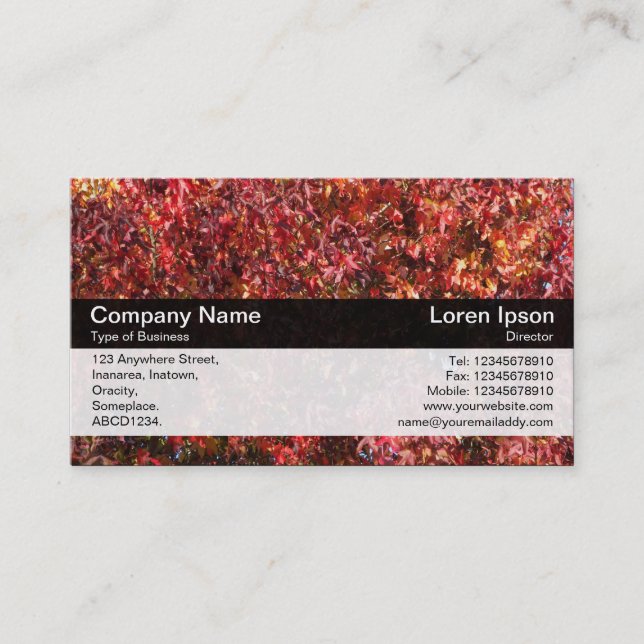 Colour Band - Black - Autumn Leaves Business Card (Front)