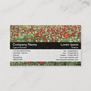 Colour Band - Black - Bed of Tulips Business Card