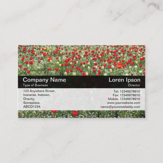 Colour Band - Black - Bed of Tulips Business Card (Front)