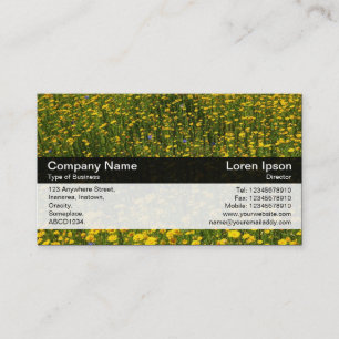 Colour Band - Black - Bed of Yellow Daisies Business Card
