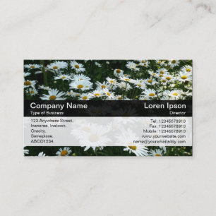 Colour Band - Black - Daisies Business Card