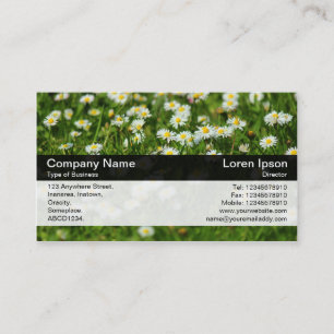 Colour Band - Black - Daisy Meadow Business Card