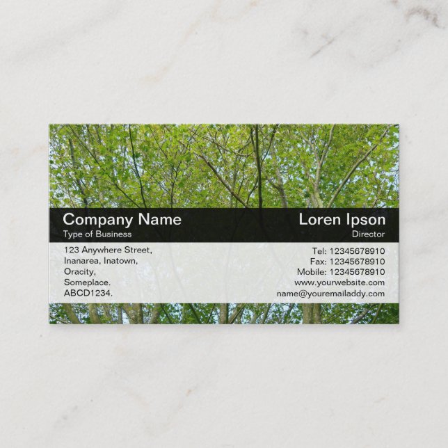 Colour Band - Black - Japanese Maple Business Card (Front)