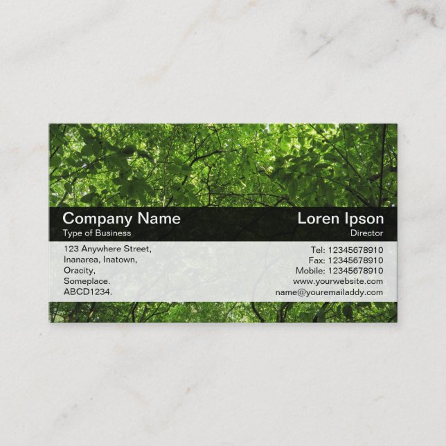 Colour Band - Black - Woodland Canopy Business Card (Front)