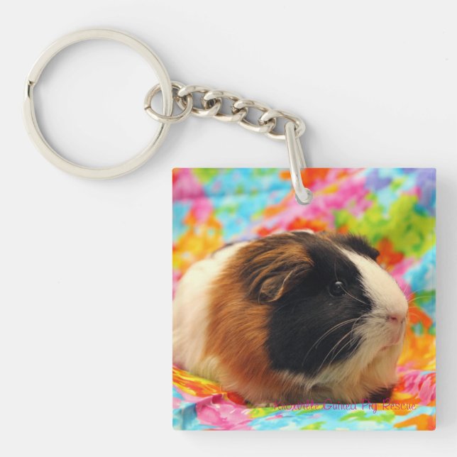Colour Burst Guinea Pig Keychain (Front)