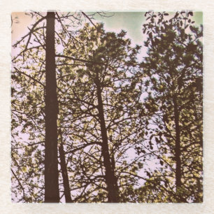 Colour by the trees glass coaster