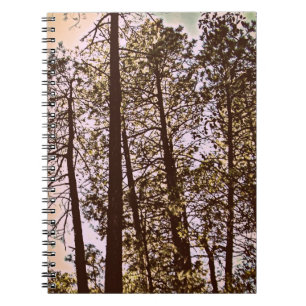 colour by the trees spiral notebook