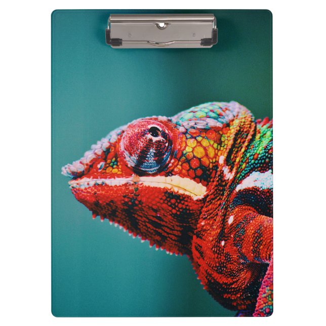 Colour Changing Rainbow Chameleon Reptile Clipboard (Front)