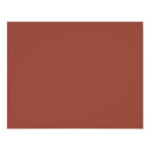 colour chestnut photo print
