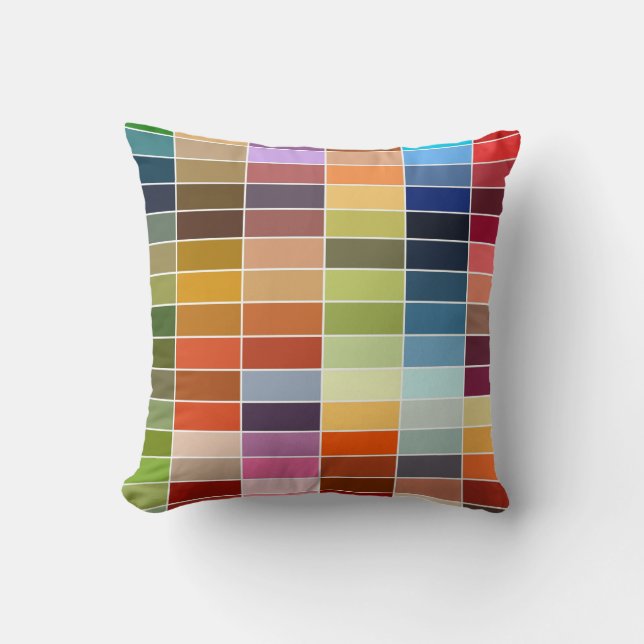 Colour Choice Reversible Cushion (Front)