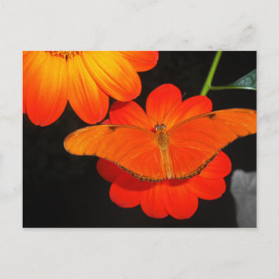 colour co ordinated postcard