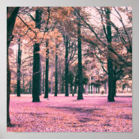 Colour effected trees in Yoyogi Park in Tokyo.