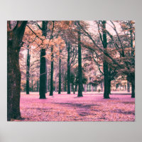Colour effected trees in Yoyogi Park in Tokyo.
