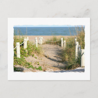 Colour Florida Beach Dune Rope Walk Photo Postcard
