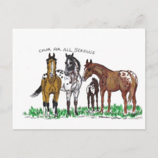 Colour For All Seasons Postcard