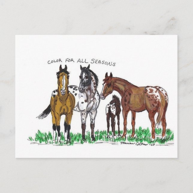 Colour For All Seasons Postcard (Front)