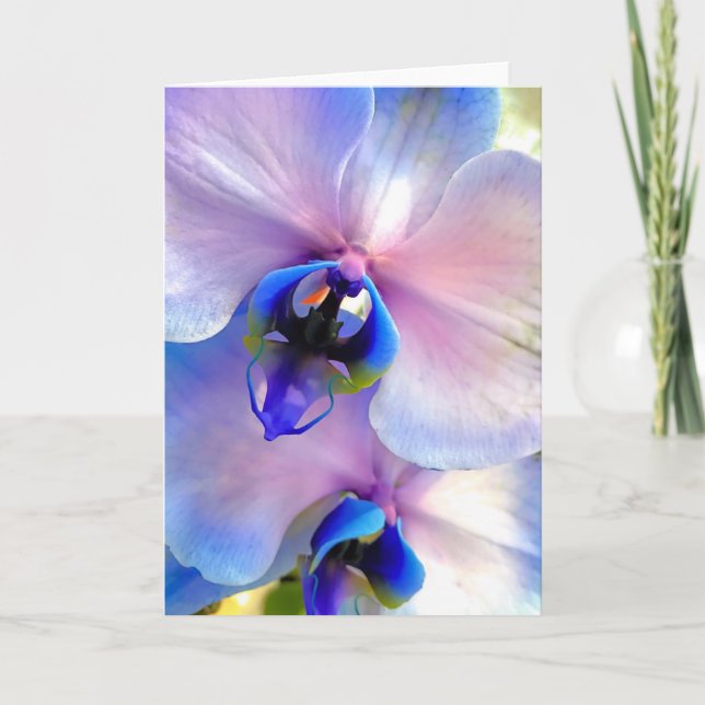 Colour fused orchids card (Front)