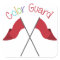 Colour Guard