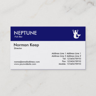 Colour Header - Dark Blue - Neptune Business Card