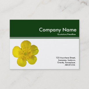 Colour Header III - Buttercup - Dark Green Business Card