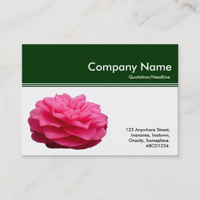 Colour Header III - Pink Camellia - Dark Green Business Card (Front)