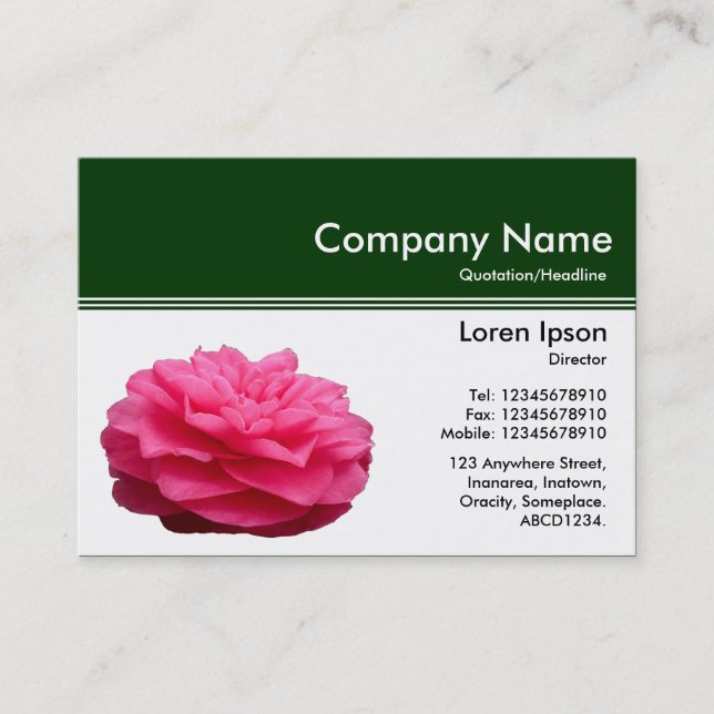 Colour Header III v2 - Dark Green - Pink Camellia Business Card (Front)