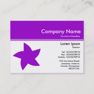 Colour Header III v2 - Purple - Rotating Star Business Card