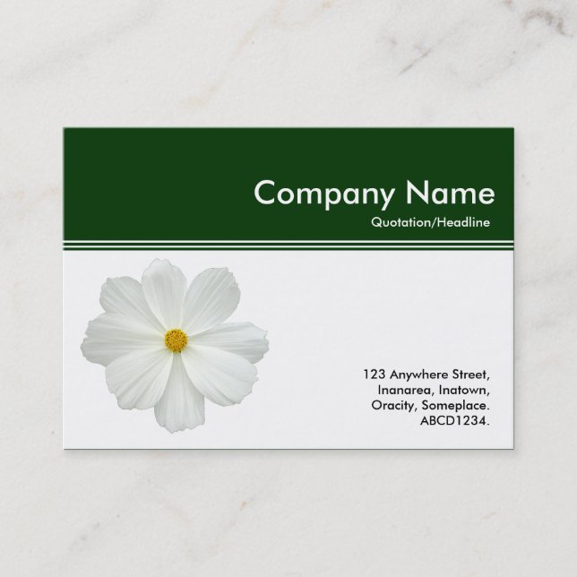 Colour Header III - White Cosmos - Dark Green Business Card (Front)