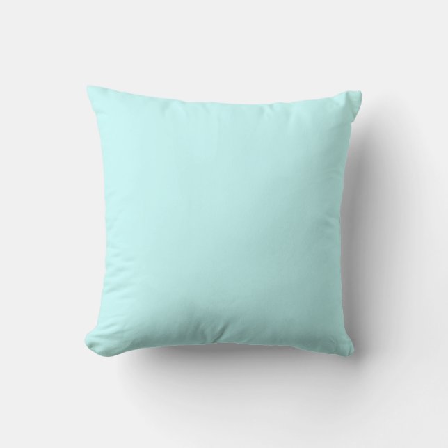 colour ice blue cushion (Front)