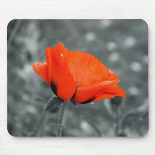 Colour key poppy mousepad