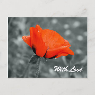 Colour key With Love Postcard