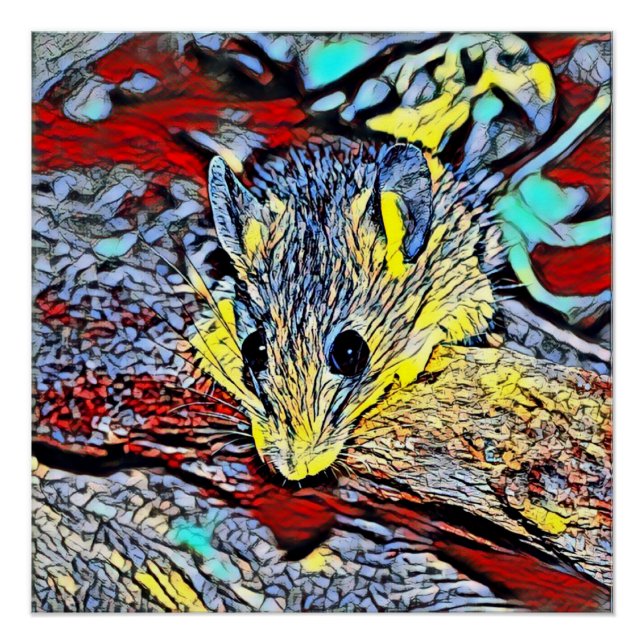 Colour kick - mouse poster (Front)