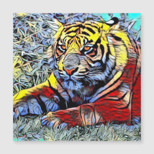 Colour Kick - Tiger 2