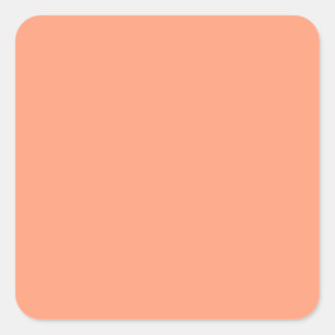 colour light salmon square sticker