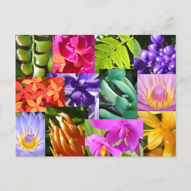 Colour Me Happy Postcard (Front)