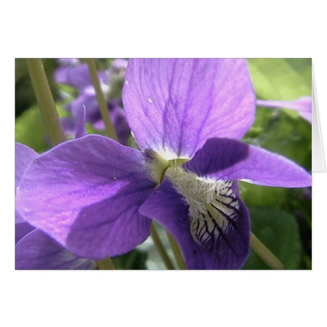 colour my soul (Front Horizontal)