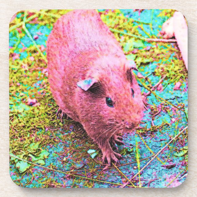 colour painted guinea pig coaster (Front)