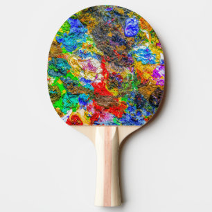 Colour palette ping pong paddle