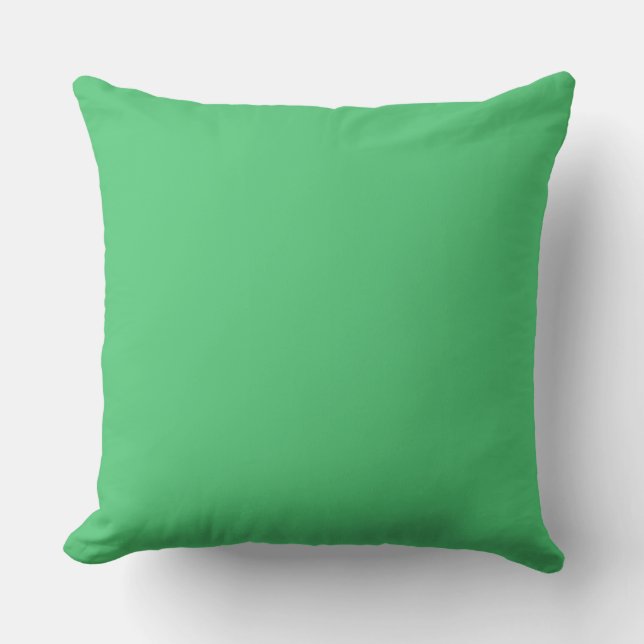 colour Paris green Cushion (Front)