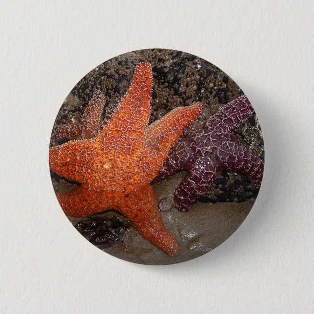 Colour Photo of Orange Starfish/Sea Star 6 Cm Round Badge (Front)