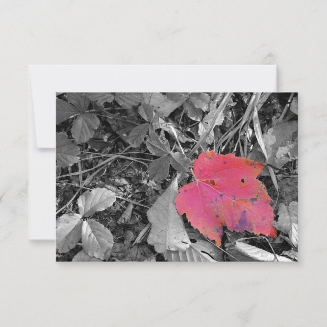Colour Pop Red Leaf Thank You Card (Front)