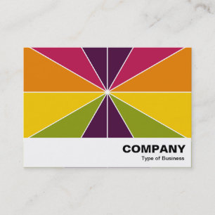 Colour Segments 02 Business Card